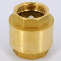 Обратный клапан 1"